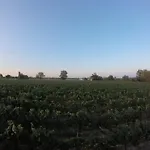 Domaine De Montels Albias