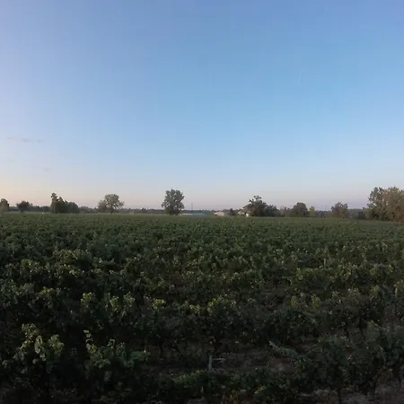 Domaine De Montels Albias