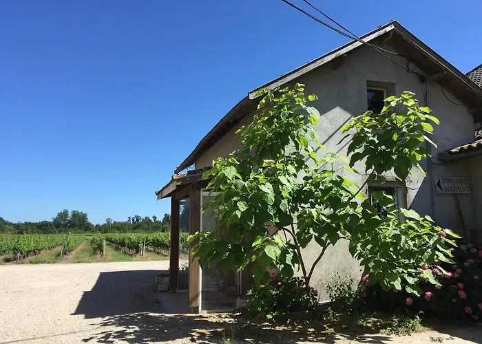 Domaine De Montels Albias