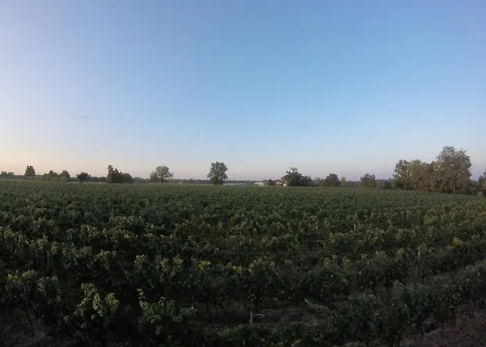 Domaine De Montels Albias